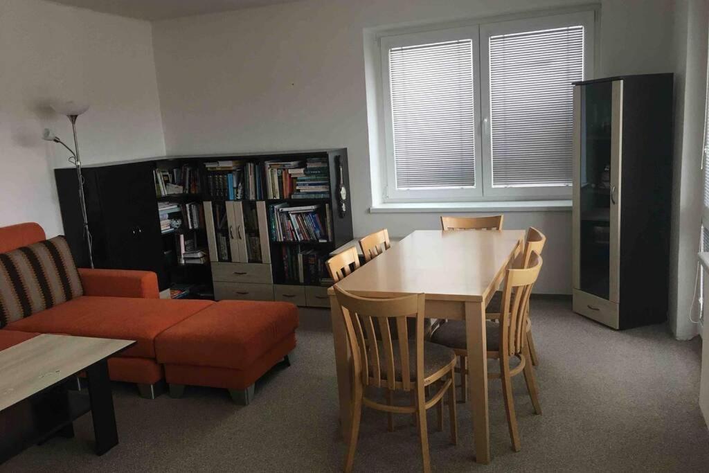 Family Apartment With Garden And Parking Spot チェスケー・ブジェヨヴィツェ エクステリア 写真