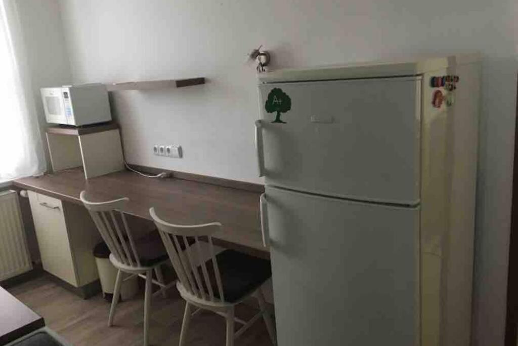 Family Apartment With Garden And Parking Spot チェスケー・ブジェヨヴィツェ エクステリア 写真