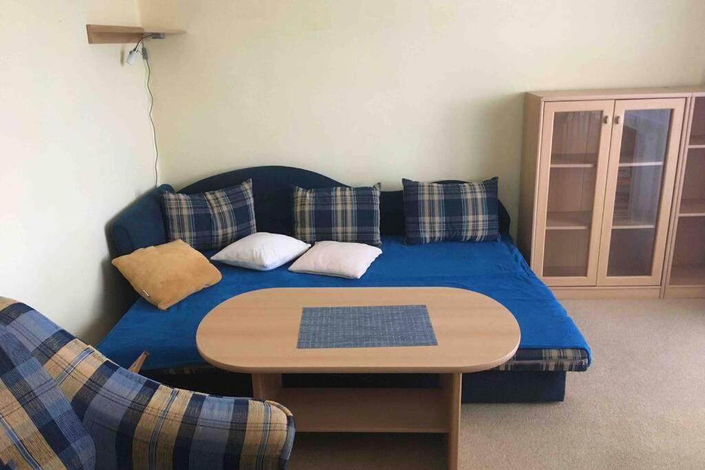 Family Apartment With Garden And Parking Spot チェスケー・ブジェヨヴィツェ エクステリア 写真